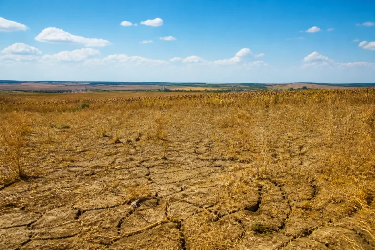 ANM: Cum va fi vremea în România de pe 10 august până pe 7 septembrie
