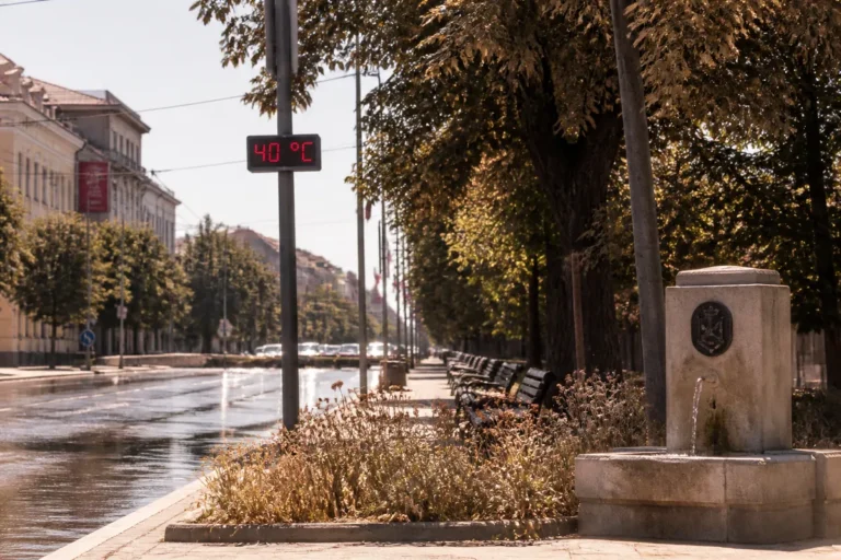 Cod roșu de caniculă în trei județe