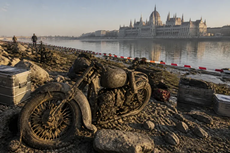 Doi soldați germani descoperiți în Dunăre, la Budapesta