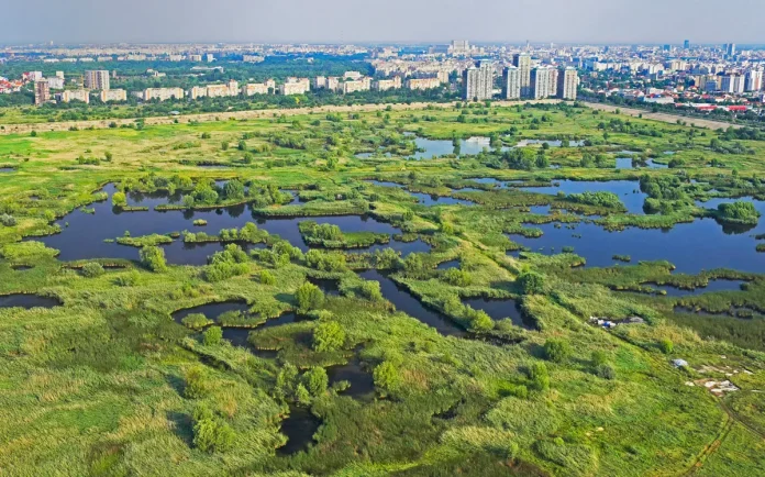 Elevii pot explora Parcul Natural Văcărești în cadrul Săptămânii Verzi Elevii pot explora Parcul Natural Văcărești în cadrul Săptămânii Verzi